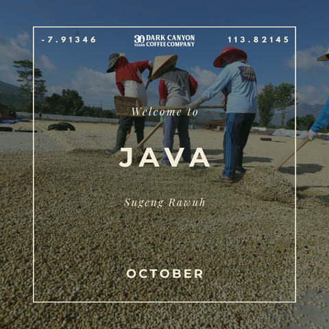 Featured Coffee of the Month Subscription