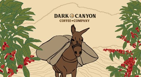 Illustration of a donkey carrying coffee beans with 'Dark Canyon Coffee Company' logo.