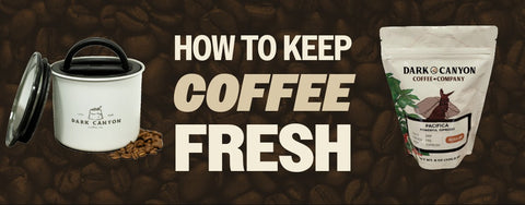 How to Keep Coffee Beans Fresh