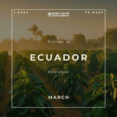 Featured Coffee of the Month Subscription
