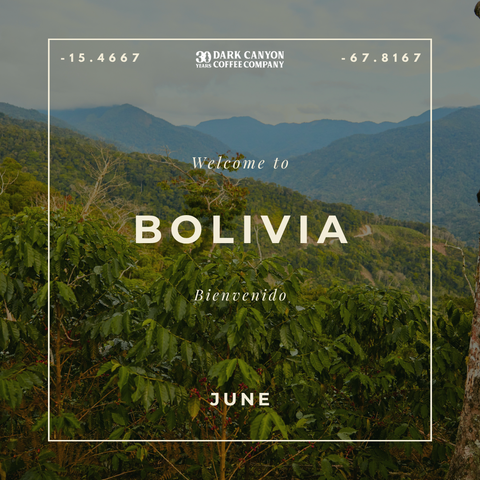 Featured Coffee of the Month Subscription