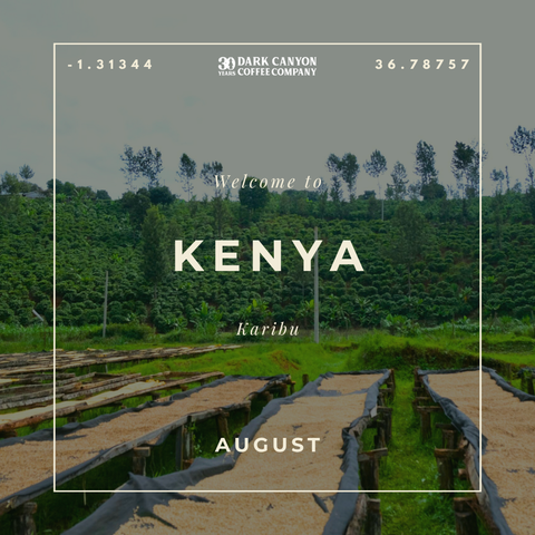 Featured Coffee of the Month Subscription