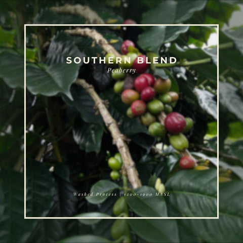 Featured Coffee of the Month Subscription