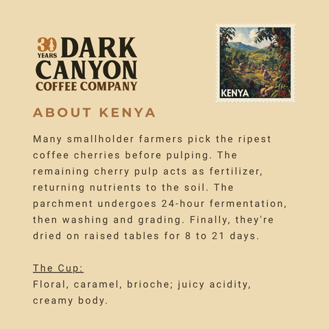 Featured Coffee of the Month Subscription