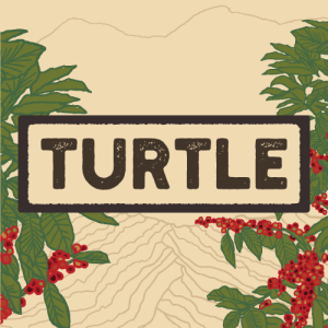 turtle coffee thumbnail