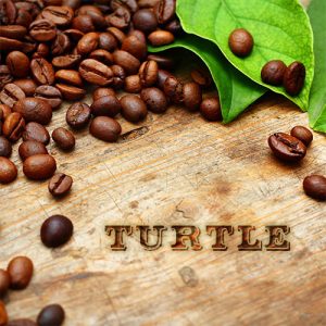 Turtle Coffee - Dark Canyon Coffee