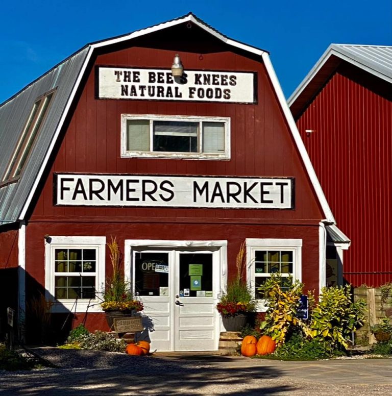 bees knees building 768x776