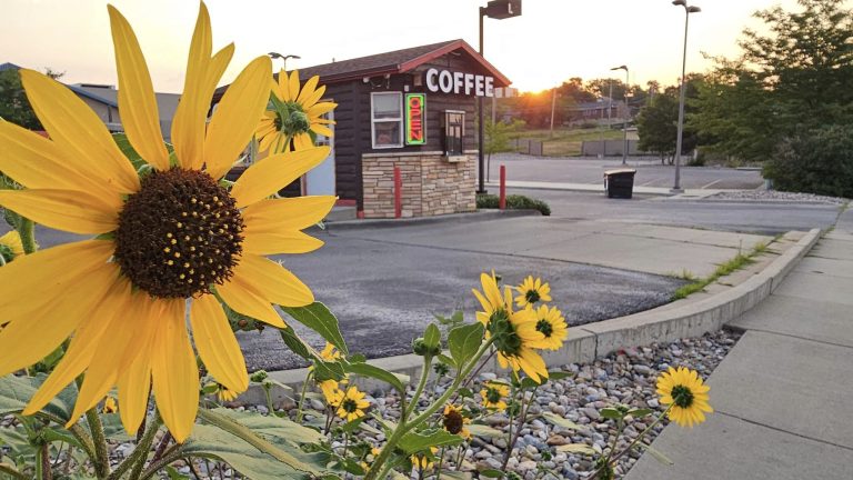 black hills bagels express 1 768x432