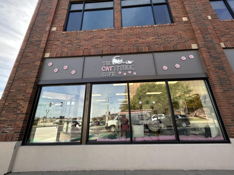 cattitude cafe exterior 768x576